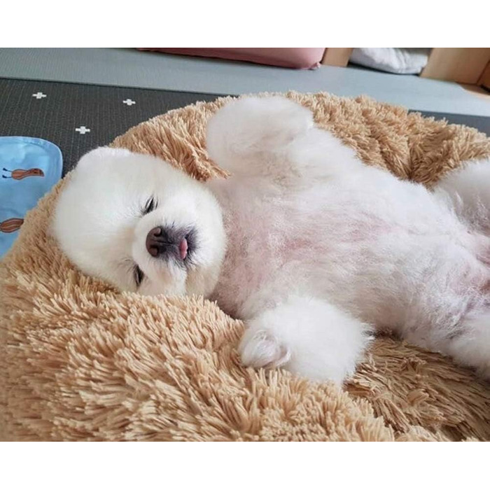 М'яке ліжко для собак та котів Segle, кругла форма, ковзаюча підкладка, пухнастий дизайн 