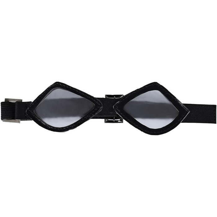 Костюм для собаки, карнавальний, на Хелловін, універсальний розмір, з окулярами