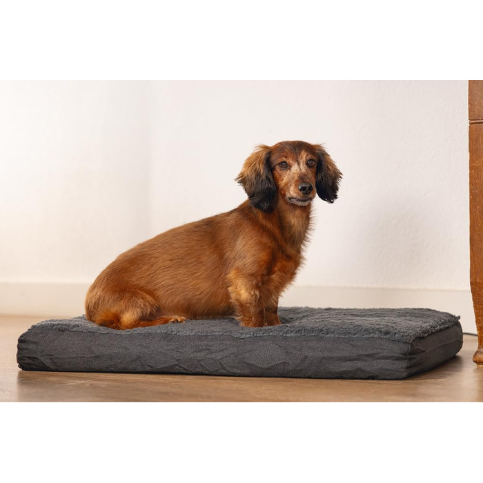Ортопедичне ліжко для собак Beeztees Zira, темно-сірий, 75x50x9 см
