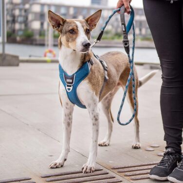 Повідок-водилка DOG Copenhagen Urban Rope, розмір S, колір мокко