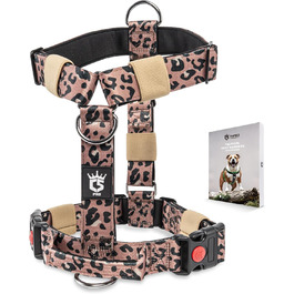 колір: леопардовий порядок