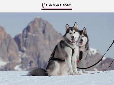 LASALINE Шлея X-Back для собак, для канікросу, дог-скутерінгу, байкджорінгу та їзди на санях, чорна з неоново-оранжевим