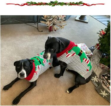 Пуловер для собак ABRRLO, карнавальний костюм клоуна, теплий зимовий халат, бавовна, XL