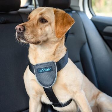Автомобільна шлея для собак CarSafe L, безпечна та законна, для великих порід, відповідає ПДР