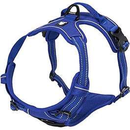 колір: кінгсблю