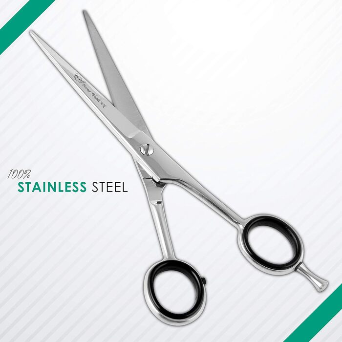 Набір професійних перукарських ножиць Focus World 6.5 дюймів (FW-SET-01) - срібло