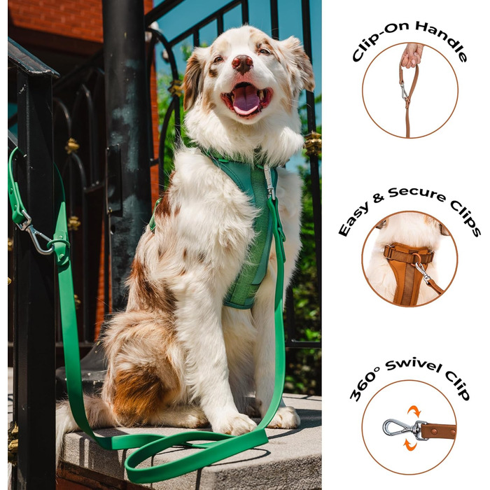 Легка шлейка для собак Easy Walk з ручкою, повідцем і нашийником BearBone, анти-натяжна, для малих, середніх і великих порід