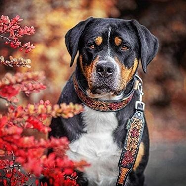 Нашийник для собак MICHUR Flora з натуральної шкіри, чорний, червоний, коричневий, з квітковим візерунком, різні розміри (150x2,5 см)