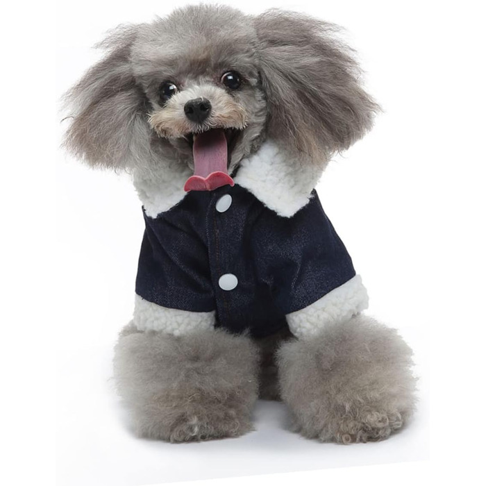 Зимовий теплий водонепроникний одяг для собак ERINGOGO (XXL, Бежевий)