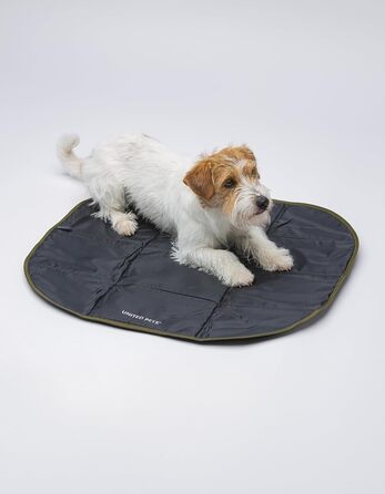 Килимок для собак Lazy Dog Mat від United Pets – портативне, складне ліжко для собак, ідеально підходить для ресторанів та подорожей. Легкий килимок для собак, чорно-зелений, універсальний розмір