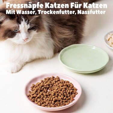 Набір керамічних мисок для котів 6er – годівниця та миска для їжі з неслизьким силіконовим дном | Плоскі, широкі миски для їжі | Непошкоджуючі для вій та придатні для миття в посудомийній машині