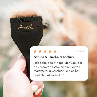 Щітка для котів та собак Striegel, аксесуари для собак, видалення шерсті | Зроблено в Німеччині (Тип C)