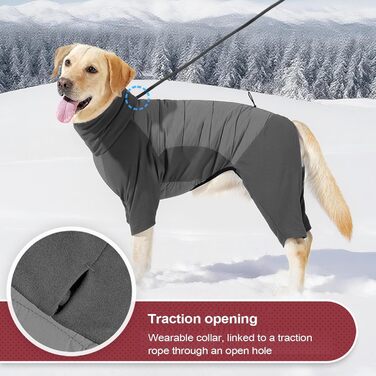 Водонепроникний зимовий одяг для собак: теплий куртка з високим коміром для маленьких, середніх та великих собак (Сірий, L)