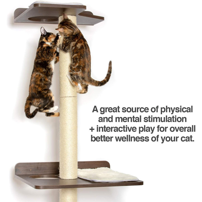 PetFusion Ultimate Котячий дерев'яний комплекс для лазіння та активності, 195 см, з високими сизалевими стовпами, настінний монтаж, сучасний дизайн, колір еспресо, гарантія 1 рік
