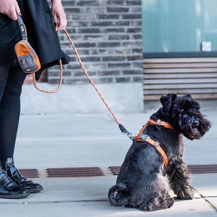 Повідок-водилка DOG Copenhagen Urban Rope, розмір S, колір мокко