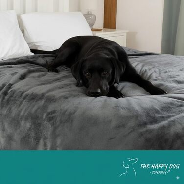 Водонепроникний плед для собак великих порід - м'який фліс, миючий накид для тварин на диван, авто, ліжко та захист меблів, двосторонній плед, 100 x 120 см, Сірий/Сірий (XX-Large (152 x 200 см), Сірий Sherpa/Сірий фланель)