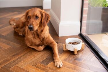 Керамічна миска для собак та котів Pet Wiz з бамбуковим підставкою, піднята миска для зручної позиції під час їжі та пиття, 5 кольорів, об'єм 850 мл (Мраморний сірий)