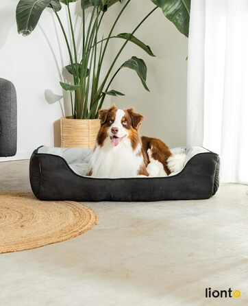 Килимок-ліжко для собак Lionto 2-в-1 з комфортним входом, чорний/сірий, 110x80 см