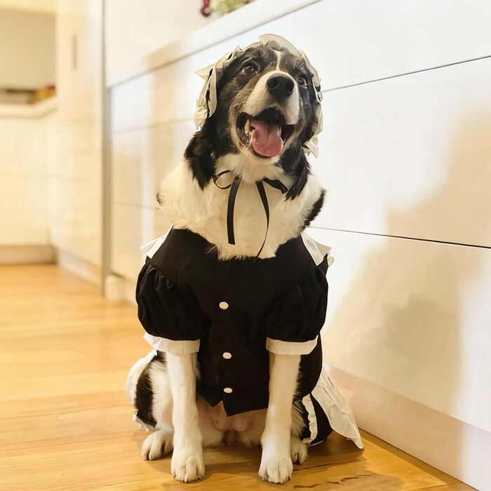 Сукня для собак FLAdorepet, костюм горничної з пов'язкою, костюм на Хелловін, наряд для великих порід, собак, дівчаток, цуценят, на Різдво, у відпустку, на весілля, сукня принцеси (чорна, XXX-Large (вага 36-45 кг))