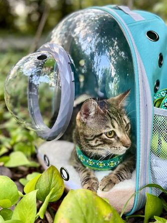 Рюкзак-переноска для котів та малих собак Bubble Cat з прозорим ілюмінатором, водонепроникний рюкзак-капсула для тварин, рожевий