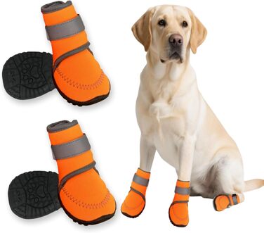 Чоботи для собак: захист лап, антиковзка підошва, для активного відпочинку на природі