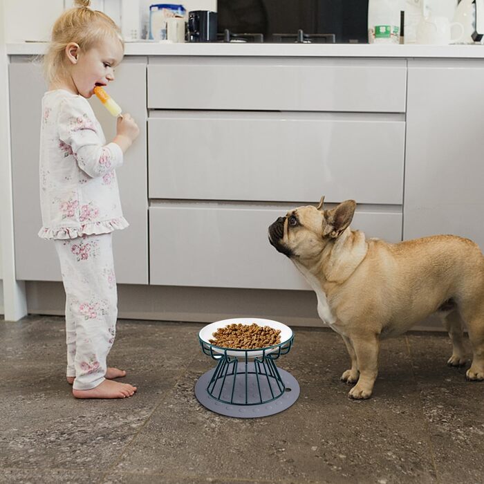 Підвищені годівниці для котів Surmounty (2 шт.) з підставки з силікону, металевий стійкий каркас, миски для корму та води