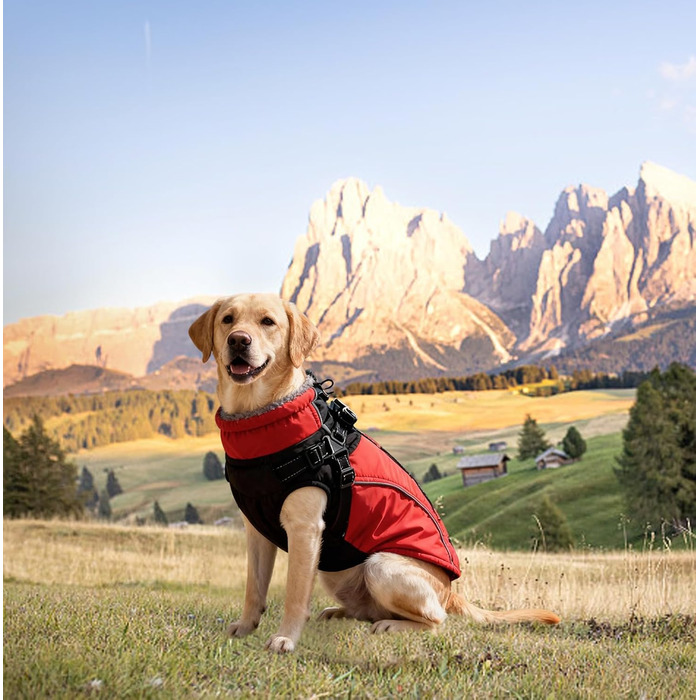 Водонепроникний зимовий одяг для собак великих порід, з кріпленням для повідка, флісова підкладка, світловідбиваючі елементи (XXL), червоний