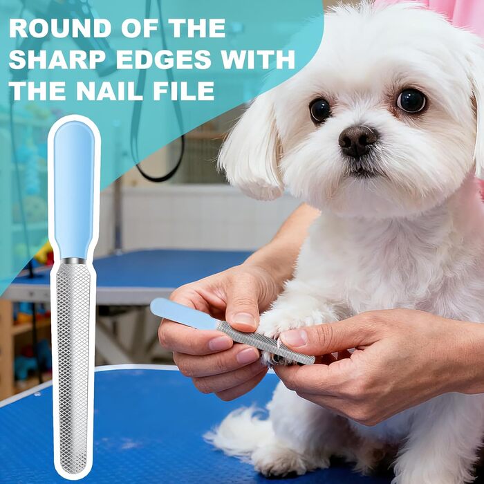 Набір професійних ножиць для грумінгу собак та котів, 4 шт. з безпечними закругленими кінцями, сталевий гребінець, шкіряний чохол