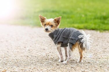 Світшот/Худі CHIARA Eie Puover CHP-403GN, Зелений, 100% поліестер, комфортний, стильний, для чоловіків