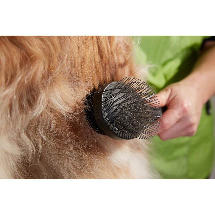 Ножиці для стрижки собак та котів Andis 6.5' Thinning Shears, професійні, правша, (80645)