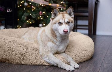 Кругле ліжко-гніздо для собак та котів, штучне хутро, Beige, 60 см