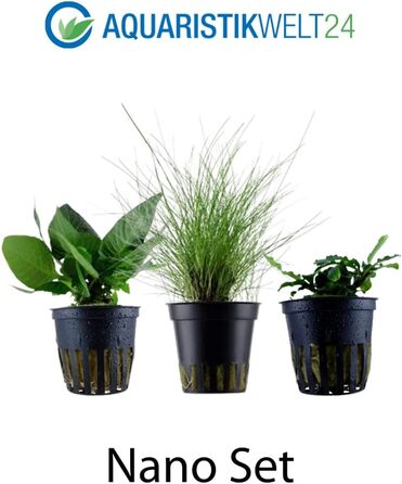 Набір акваріумних рослин AquaOne: 3 шт. для нано-акваріуму, стеблова Hygrophila, почвопокривна Eleocharis