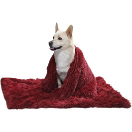 колір: гниль