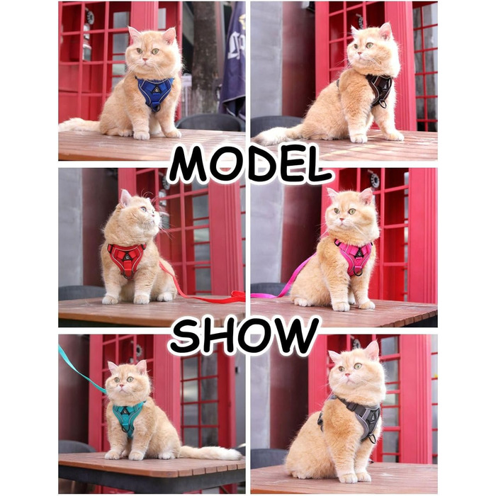 Набір посуду та шлейка для собак та котів, витривала регульована шлейка з поводом, сітка з відбиваючими смугами, XL, червоний XL