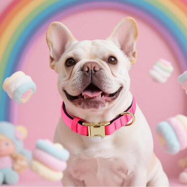 Нашийник для собак Didog з нейлону, м'який, з металевою застібкою, для великих, середніх собак, чорний, M (обхват шиї 38-58 см, рожевий)