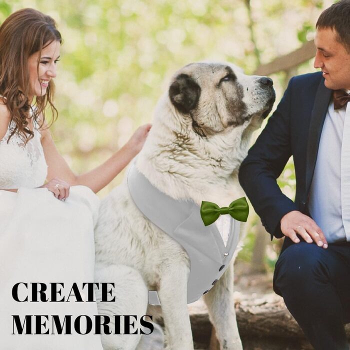 Smoking для собак: елегантний костюм для собак середніх та великих порід. Ідеальний для вечірок, свят, косплею. Сірий smoking з зеленою краваткою, розмір M (обхват грудей 48-66 см).