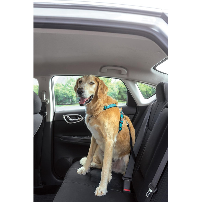 Шлея для собак PetSafe 3-в-1, анти-тягова, з автокріпленням, рефлекторами, ручкою, розмір L, чорна/синя/фіолетова