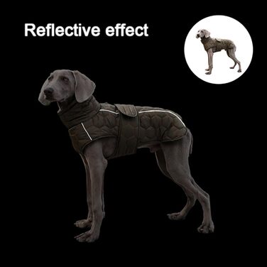 Зимовий одяг для собак середніх розмірів: тепла куртка з флісовою підкладкою, відбивачі та регульована посадка, зелена, розмір M