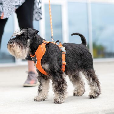 Шлея для собак DOG Copenhagen Comfort Walk Pro, мисливський зелений, розмір L