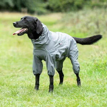 Відбиваюча куртка для собак Hugo & Hudson з капюшоном, вітрозахисний зимовий одяг, помаранчевий (сірий, L55)