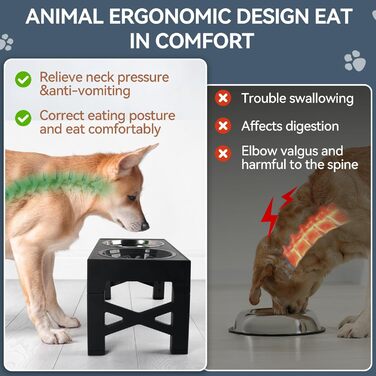Підвищений годівниця для собак PAWISE, 5 рівнів регулювання, для собак маленьких, середніх та великих порід, з двома великими мисками з нержавіючої сталі, антиковзаюча, BPA free пластик