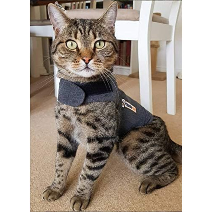 Антистресова жилетка Thundershirt для котів, розмір M, сіра