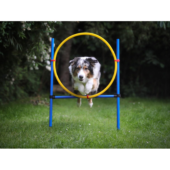 Набір для аджиліті NATIV LEMODO для собак | Тренування собак з бар'єрами та стрибковим кільцем | Легкий у транспортуванні аксесуар для тренувань | Початковий набір у собачий спорт без тунелю