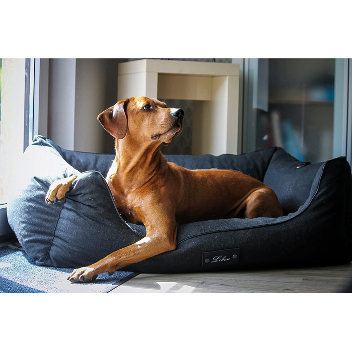 Ортопедичне собаче ліжко Lebon Carl Plus 100x75x30 см з підстилкою - Deluxe, Made in EU