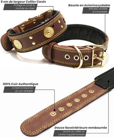 Шкіряний нашийник для собак, 5 см, ручної роботи, преміум якість, для великих та середніх порід, M (38-49 см, золотисто-коричневий)