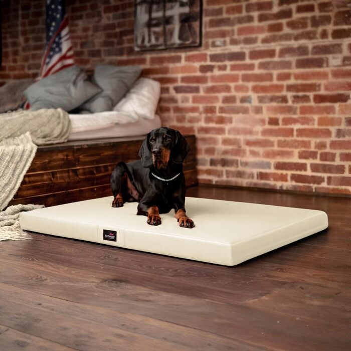 Ортопедичний лежак для собак Tierlando Alice Easy CLEAN з штучної шкіри, віскоеластичний, 100x80 см, колір: кремовий