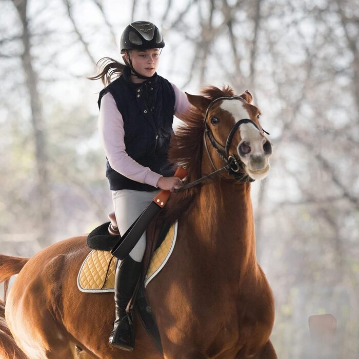 Спіральна косарка для коней BAVIHOR, 48,2 см, з антиковзним дерев'яним руків'ям, чорна