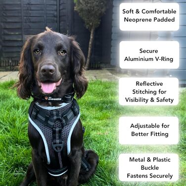 Нашийник для собак середнього розміру, світловідбиваючий, з підкладкою, регульований, металева застібка, кільце з алюмінію, колір Dreamy Aqua