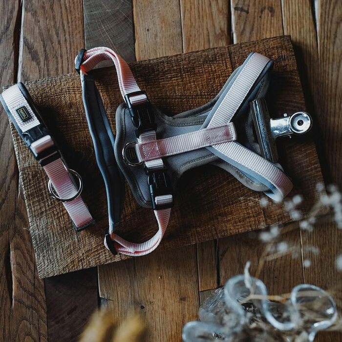 Нашийник для собак HUNTER Neopren Vario Plus, червоно-чорний, розмір L/2.5, міцний нейлон, м'яка неопренова підкладка, регульований, з поглиначем ривка, зручний, легкий у догляді