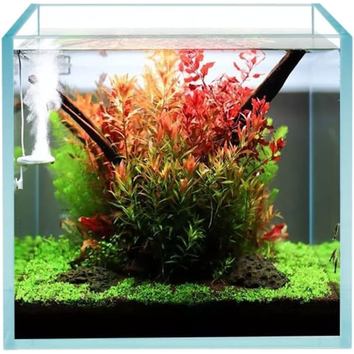 HIRO Aquatics Cube безрамковий акваріум з ультрапрозорого скла, 5 мм, з білим вирівнювальним килимком, опція кришки